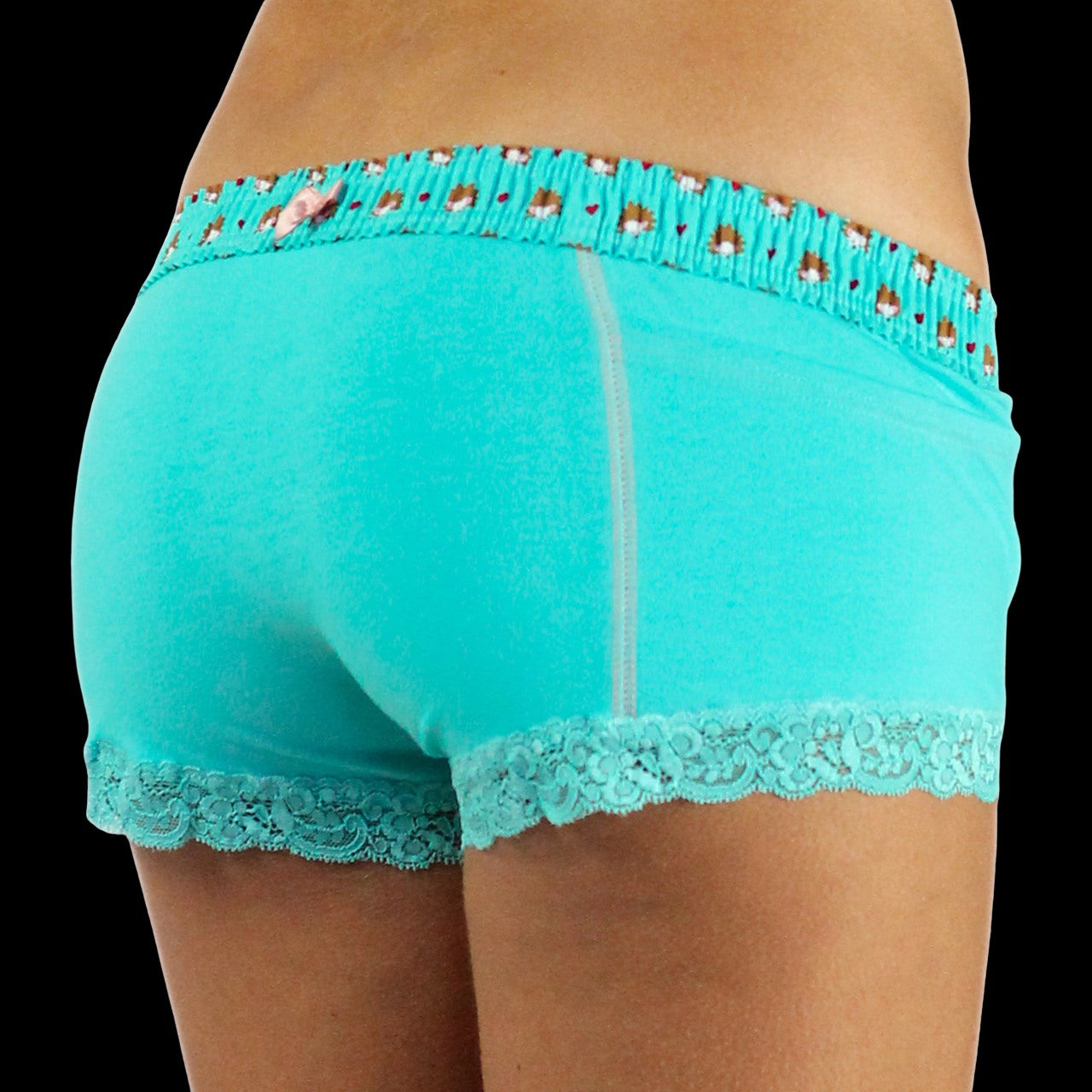 Turquoise Boxer Briefs Hedgehog Band-Lingerie-PANTIESANDPUMPS.COM