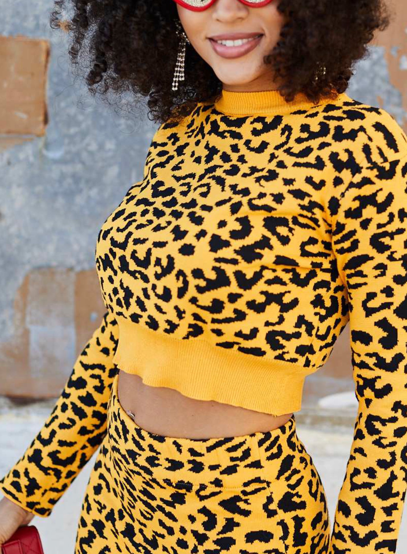 Crop Top With Skirt Leopard Print Set-PANTIESANDPUMPS.COM