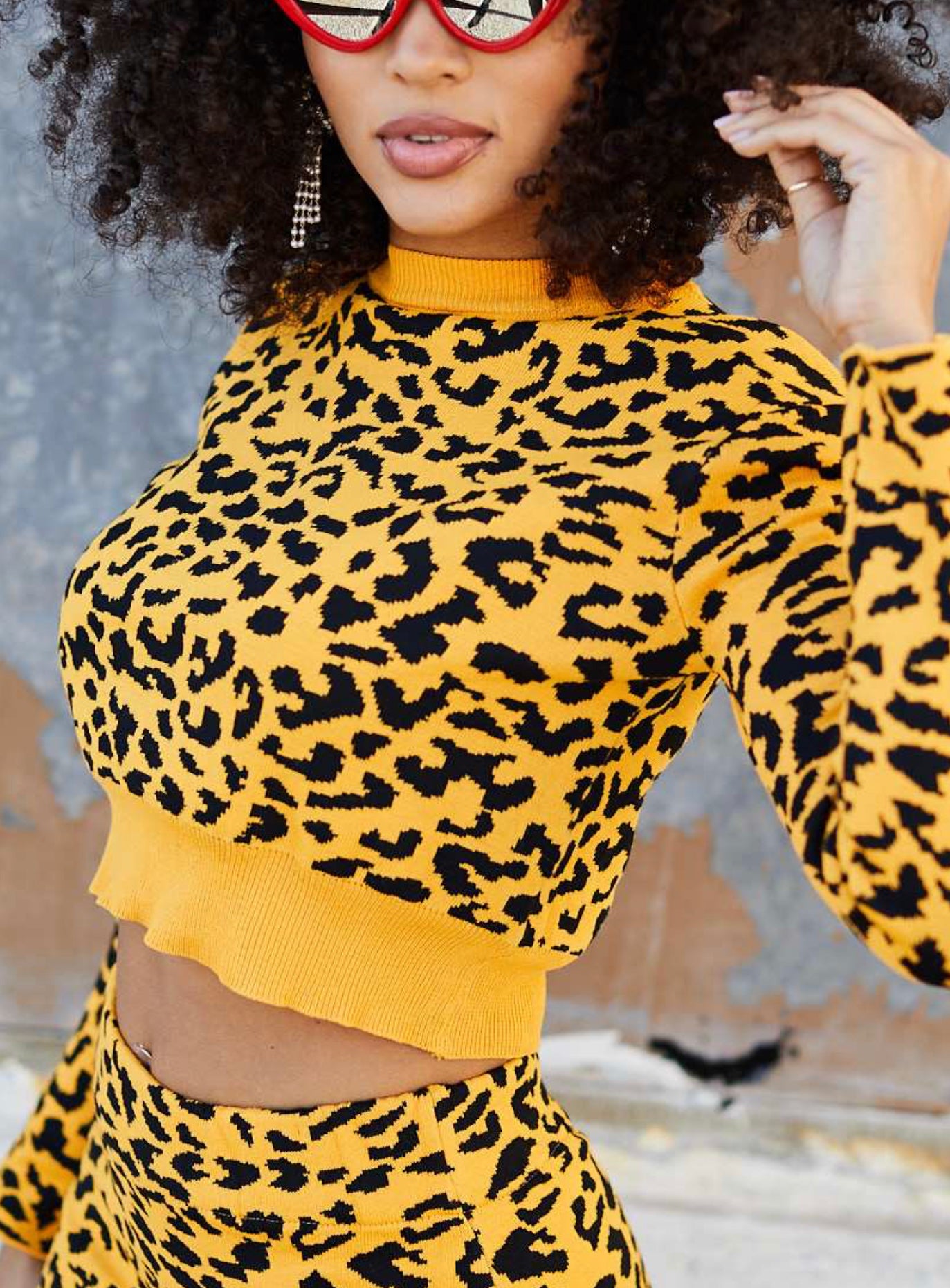 Crop Top With Skirt Leopard Print Set-PANTIESANDPUMPS.COM