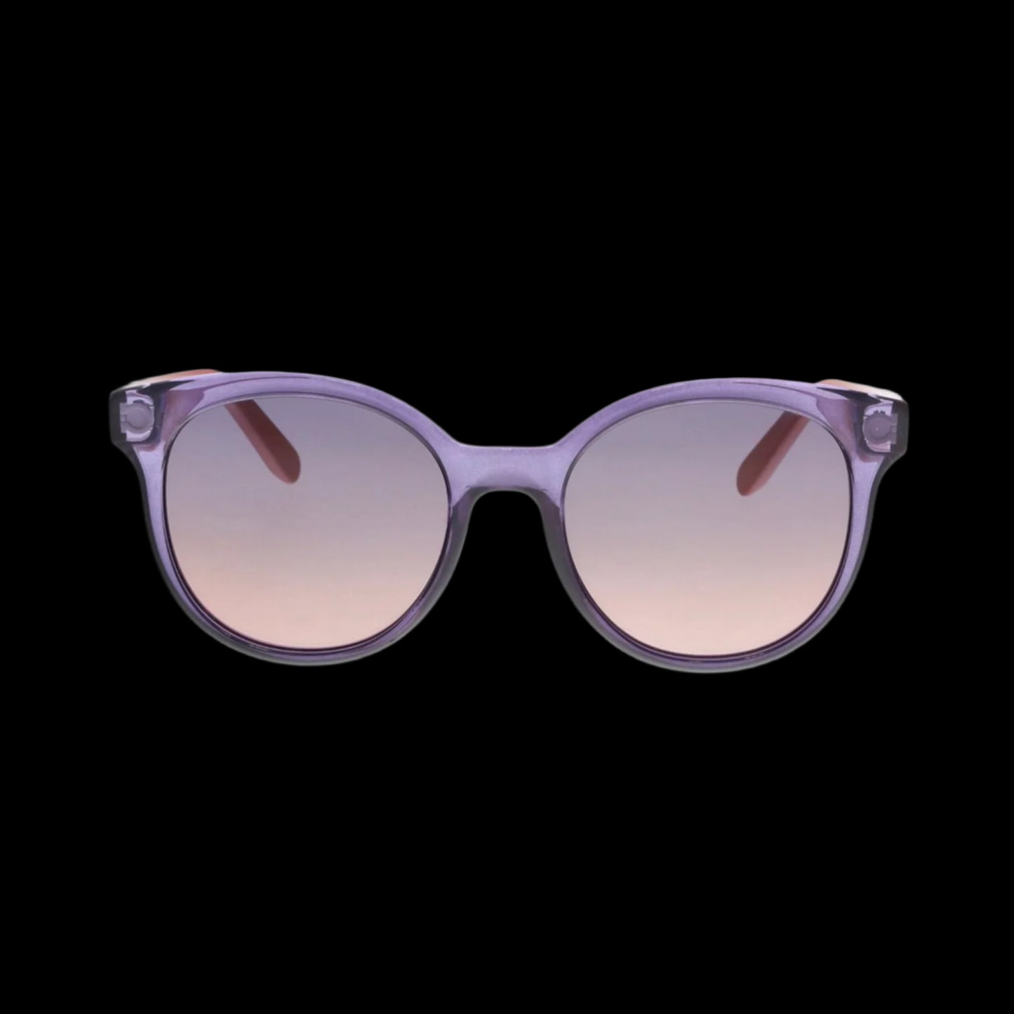 Salvatore Ferragamo Sunglasses-Eyewear-PANTIESANDPUMPS.COM