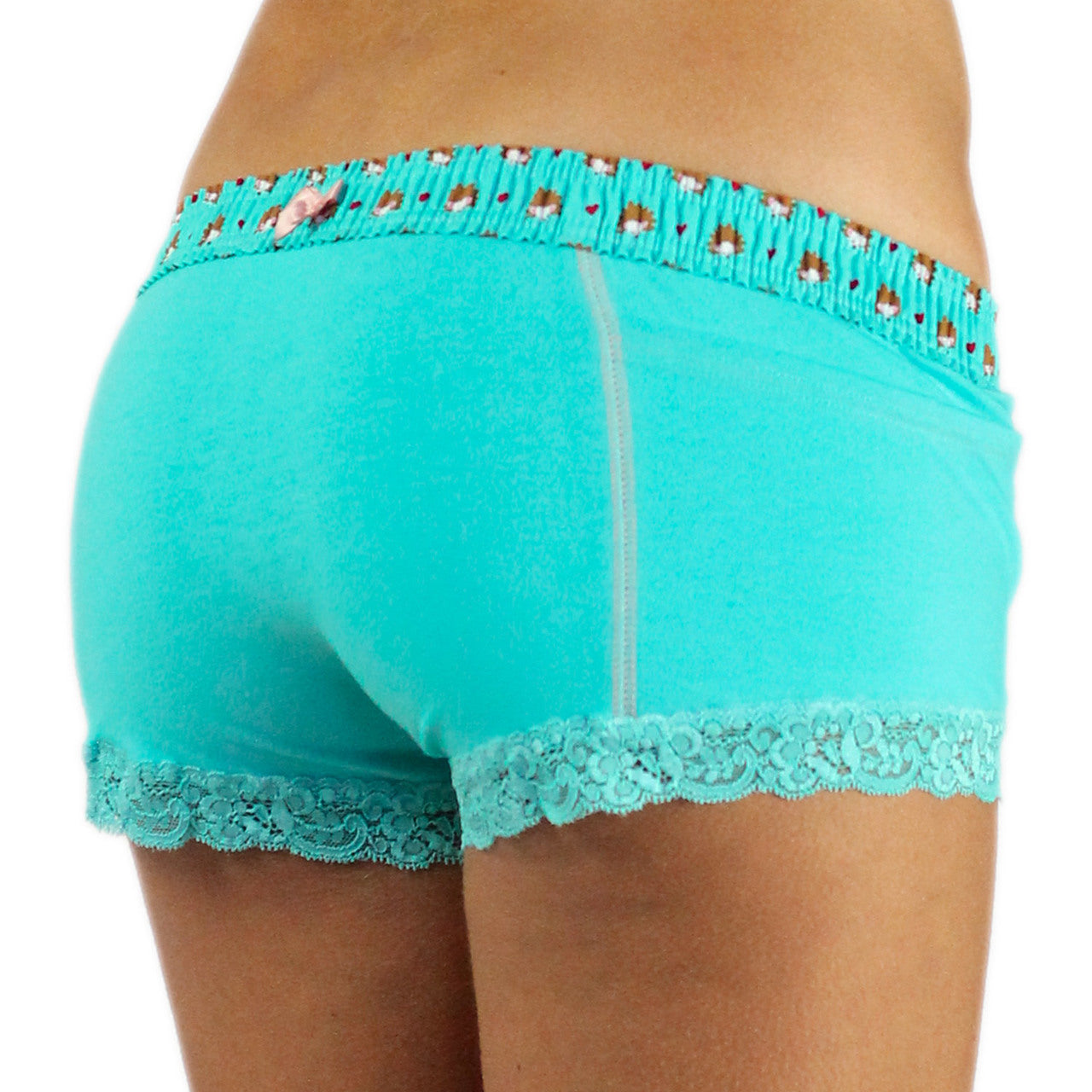 Turquoise Boxer Briefs Hedgehog Band-Lingerie-PANTIESANDPUMPS.COM