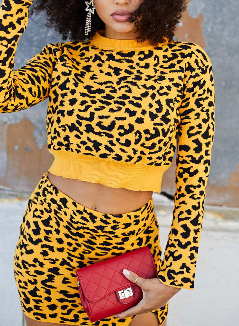 Crop Top With Skirt Leopard Print Set