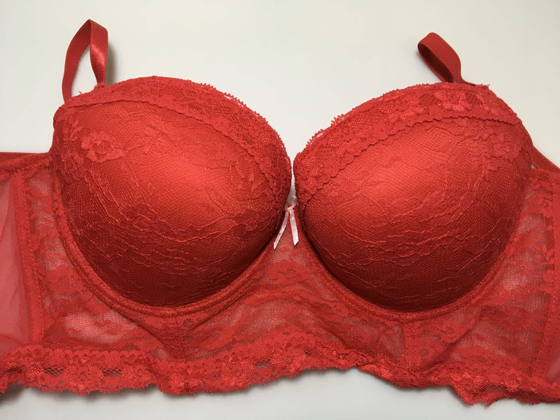 Red Lace Long line Bra