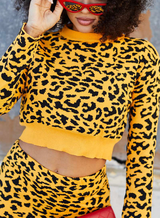 Crop Top With Skirt Leopard Print Set